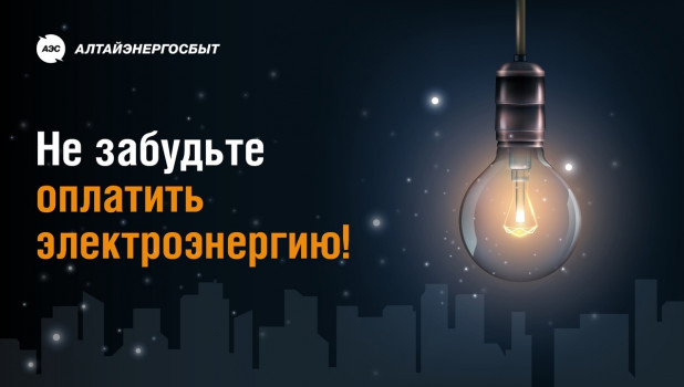 «Алтайэнергосбыт» рекомендует своим клиентам оплатить потреблённую в этом году электроэнергию до новогодних праздников.