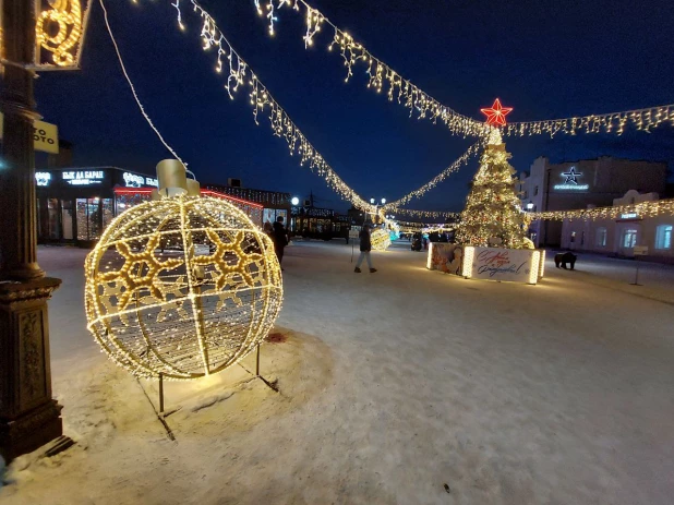 Новогодний городок на ул. Мало-Тобольская. 