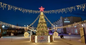 Новогодний городок на ул. Мало-Тобольская. 