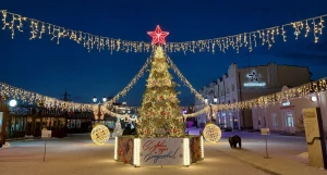 Новогодний городок на ул. Мало-Тобольская. 