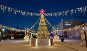 Новогодний городок на ул. Мало-Тобольская. 
