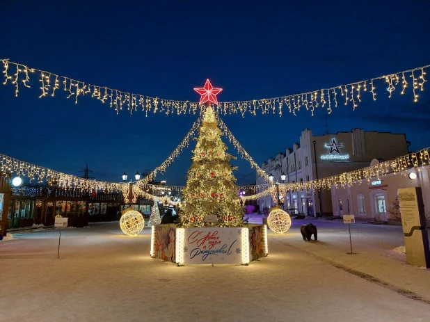 Новогодний городок на ул. Мало-Тобольская. 