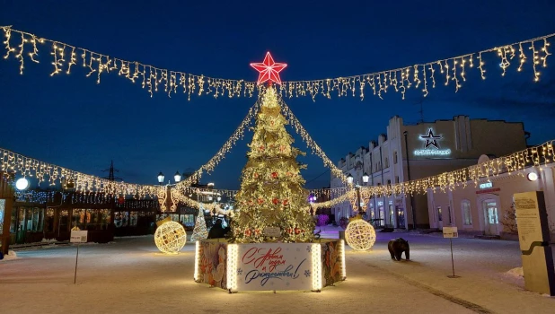 Новогодний городок на ул. Мало-Тобольская. 