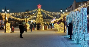 Новогодний городок на ул. Мало-Тобольская. 
