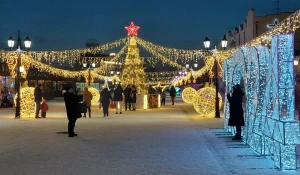 Новогодний городок на ул. Мало-Тобольская. 