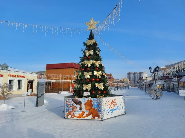 Новогодний городок на ул. Мало-Тобольская. 