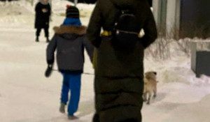 Мать заставляет сына выгуливать собаку без обуви