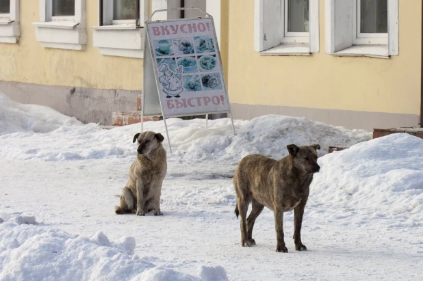 Как разбирают городок на Мало-Тобольской. 