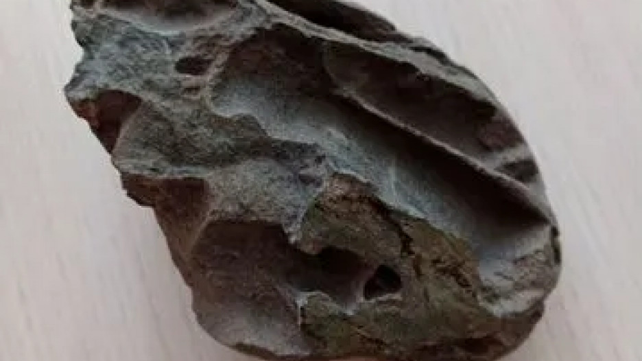 В Бийске продают метеорит с необычными свойствами. 