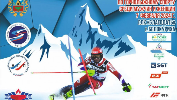 Профессиональные соревнования по горнолыжному спорту. 