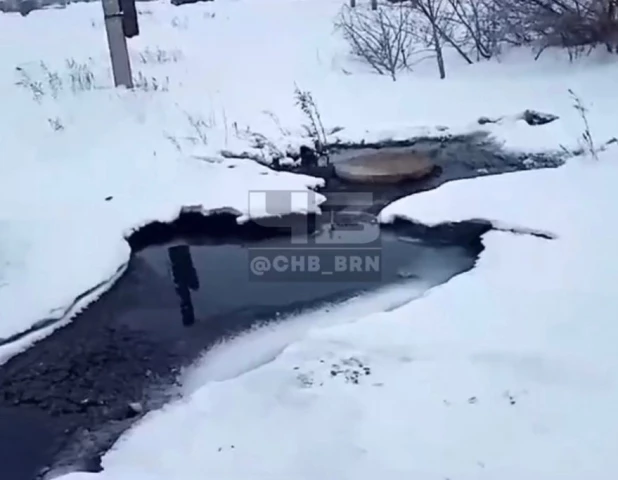 Нечистоты в Славгороде. 