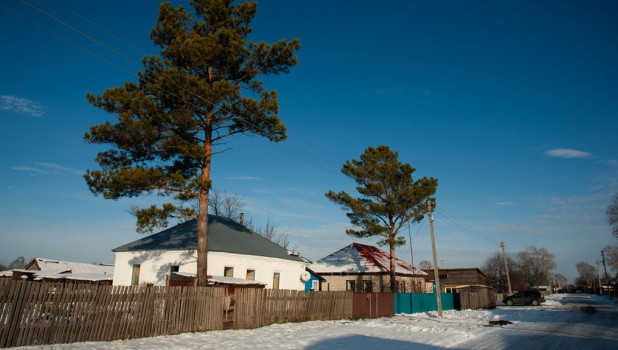Село, Алтайский край.