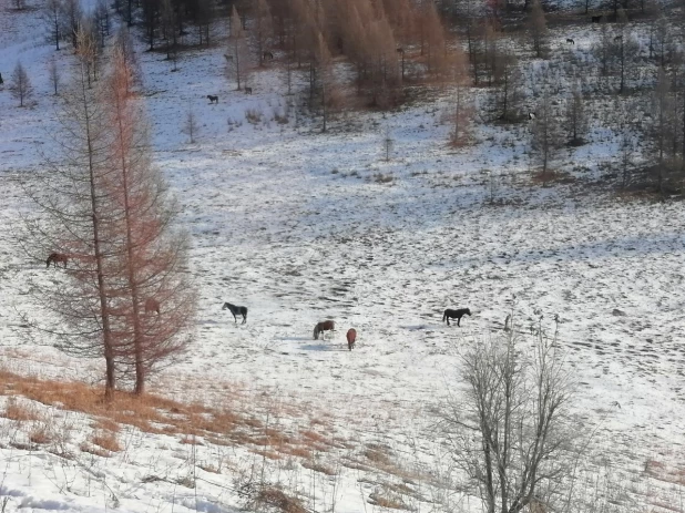 Зимний поход к водопадам на реке Шинок.