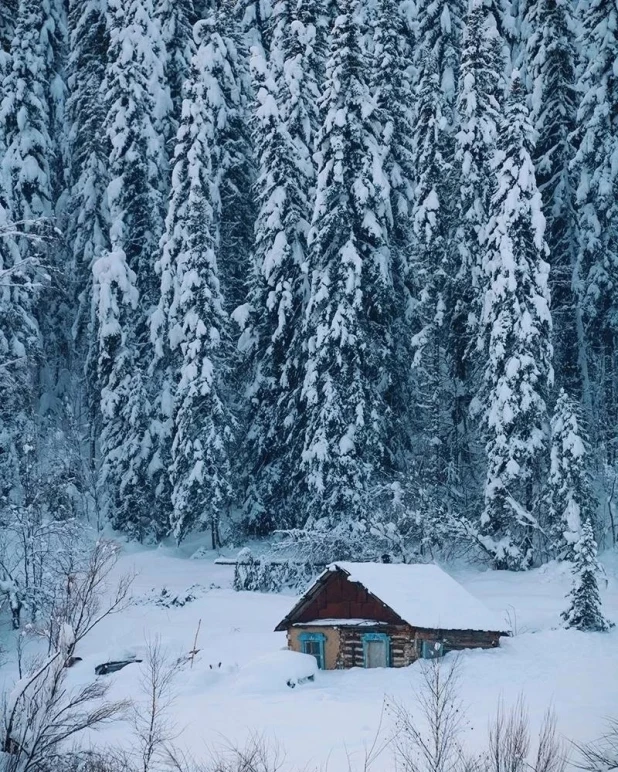 Зима в Горном Алтае. 