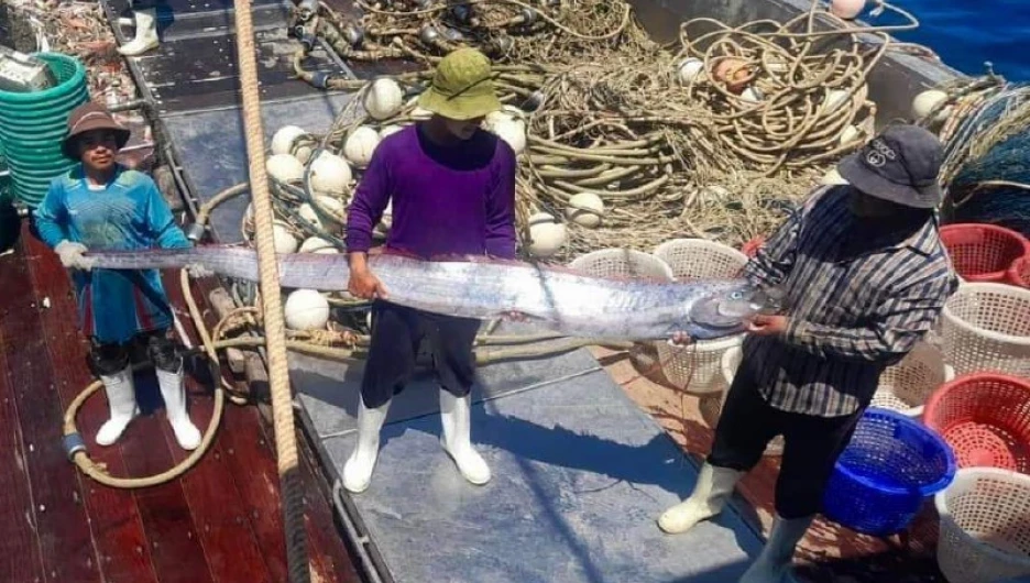 В Таиланде рыбаки обнаружили странную и редкую рыбу. 