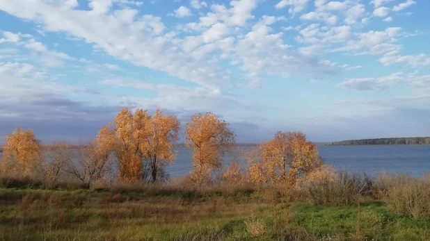 Окрестности с. Волчно-Бурлинское, Крутихинский район.