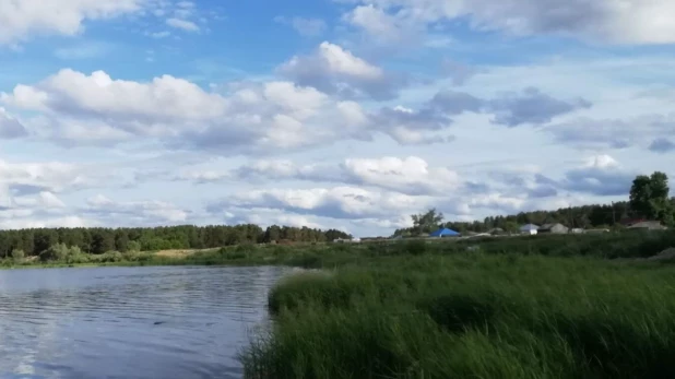 Окрестности с. Волчно-Бурлинское, Крутихинский район.