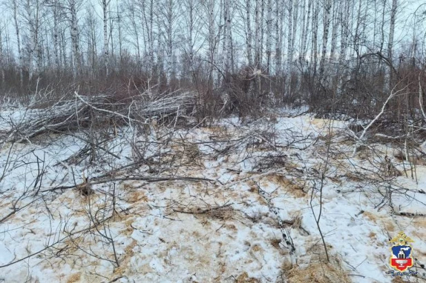 "Ведьмачий" меч продают в Барнауле за 17 тыс. рублей. 