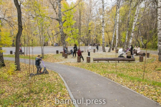 Барнаульские депутаты оценили, как в краевой столице меняется городская среда.