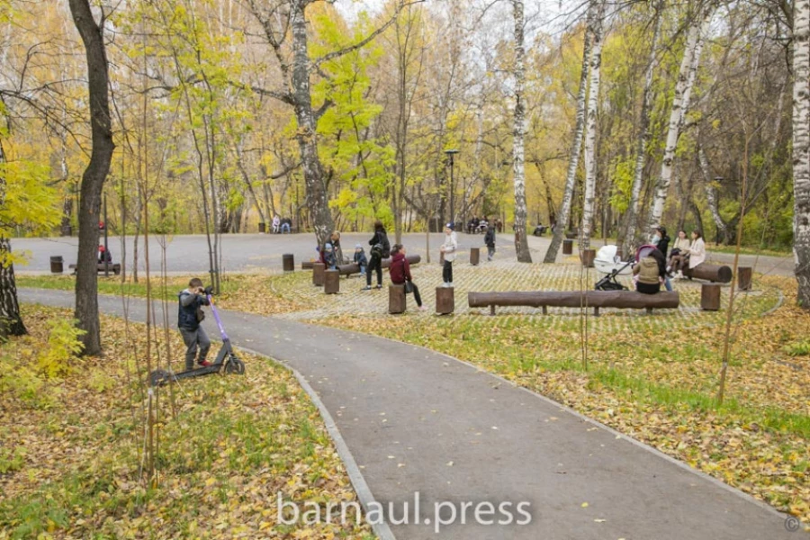 Барнаульские депутаты оценили, как в краевой столице меняется городская среда.