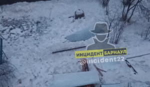 Жители Барнаула заметили опасные металлические настилы, которые летели с крыши. 