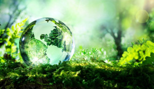 Забота об окружающей среде — один из главных приоритетов в экологической повестке Россельхозбанка.