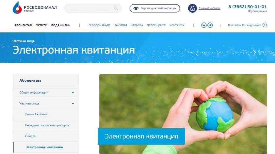 Электронная квитанция.
