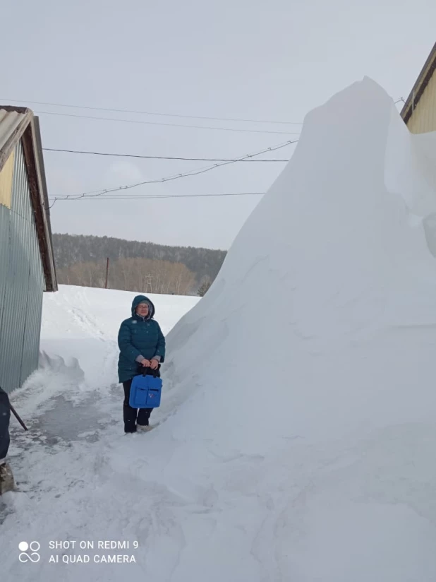 Выборы президента в Алтайском крае. 