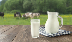 По наблюдениям специалистов аграрного маркетплейса Своё Фермерство российские аграрии предпочитают производство молока и зерновых.
