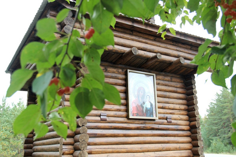 Село Бобровка, Алтайский край.