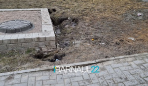 Барнаульцы обеспокоены обвалившейся землей на пешеходной дорожке. 