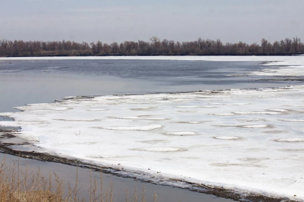 Весна в Барнауле