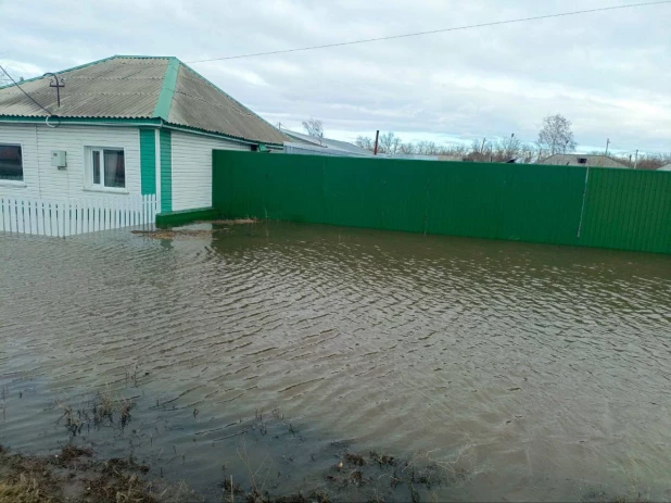  В Алтайском крае пенсионерке затопило дом. 