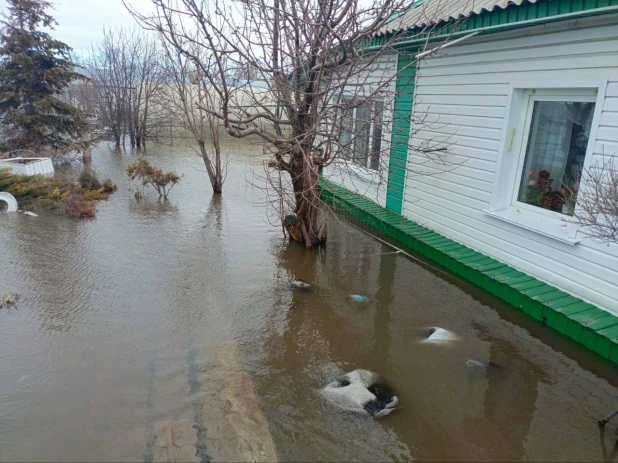  В Алтайском крае пенсионерке затопило дом. 