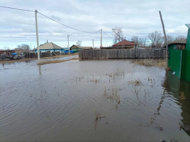  В Алтайском крае пенсионерке затопило дом. 