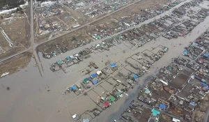 Село Михайловское с высоты птичьего полета.