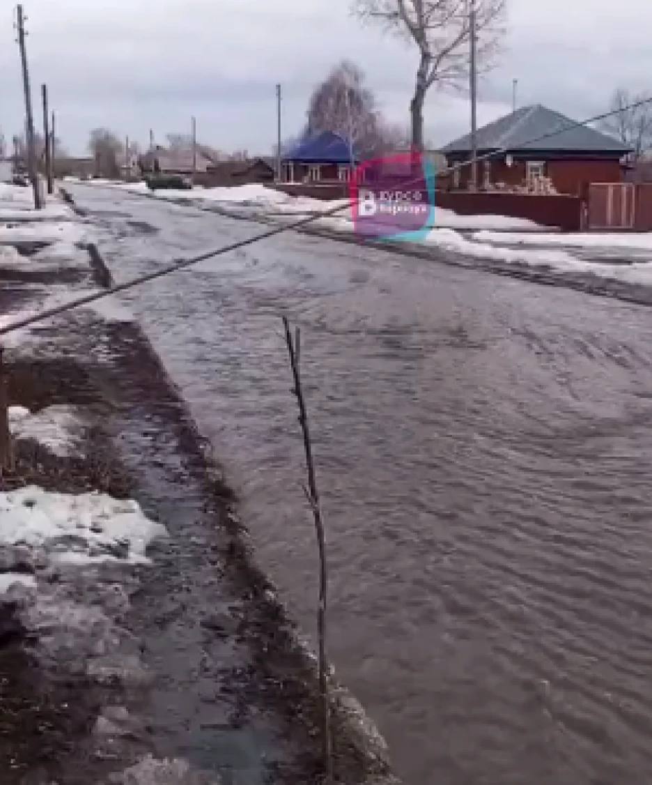 В затопленном селе Алтайского края можно рыбачить во дворах. Видео