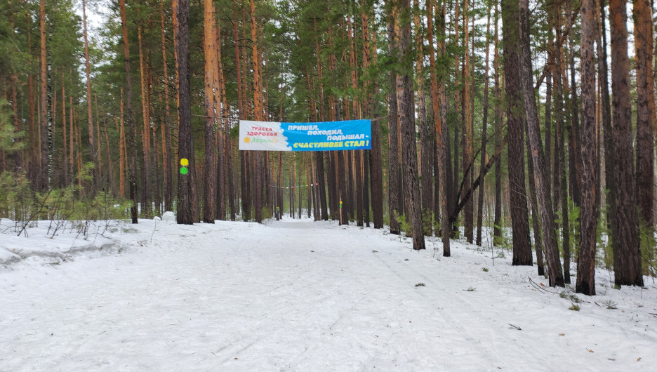 Закрывать сезон рано. Барнаульские лыжники радуются хорошему состоянию Трассы здоровья