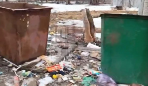 Барнаульцы обратили внимание на кучи мусора. 