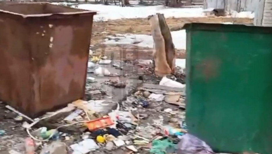 Барнаульцы обратили внимание на кучи мусора 
