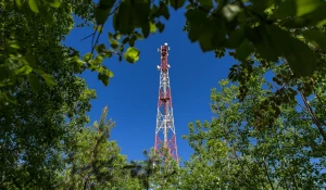 МегаФон запустил базовые станции в сёлах Большеромановка Табунского района, Елунино и Чернопятово Павловского района.