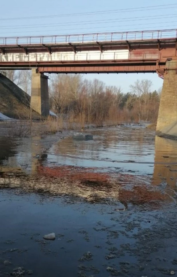 Барнаулка разлилась.