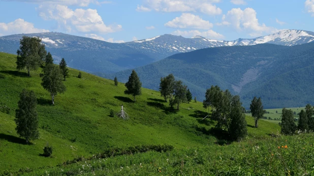 Островки флоры и фауны .