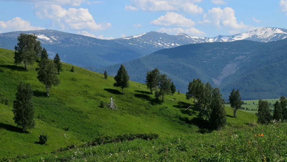 Островки флоры и фауны .