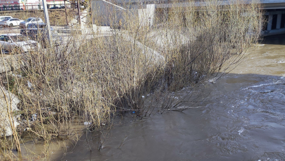 Как сейчас выглядит река Барнаулка на Старом Базаре. Фото и видео 