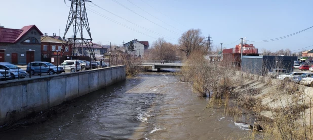 Барнаулка. 