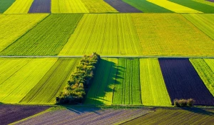 Алтайские аграрии получили от РСХБ 5,4 млрд рублей с начала года.