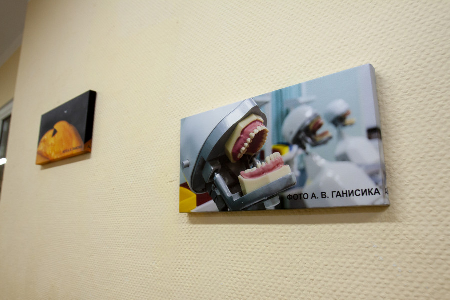 В виртуальной стоматологии АлтГМУ.