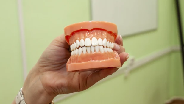 В виртуальной стоматологии АлтГМУ.