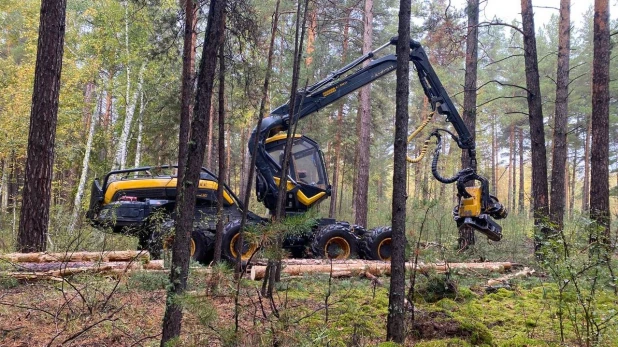 Компания планомерно увеличивает долю механизированной заготовки древесины.